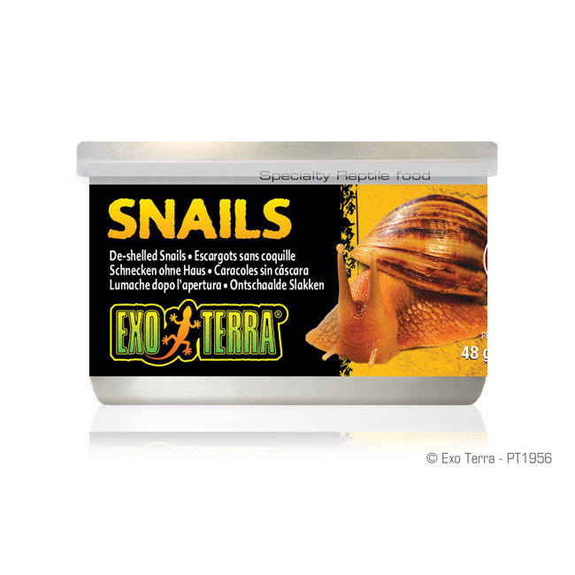 Exo Terra Exo Terra Snails (House free) - 48 g