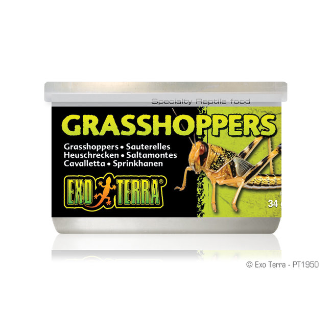 Exo Terra Canned Grasshoppers - 34 g