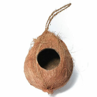 Hanging Coconut Reptile Hide 2 Hole