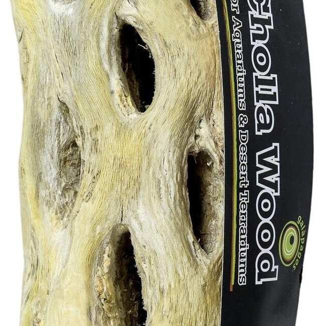 Cholla Wood Branches