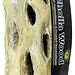 Cholla Wood Branches