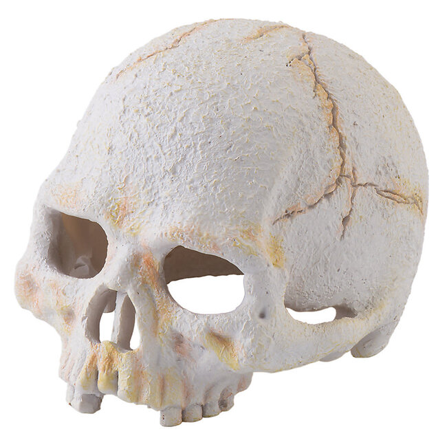 Exo Terra Primate Skull Terrarium Decor 4"