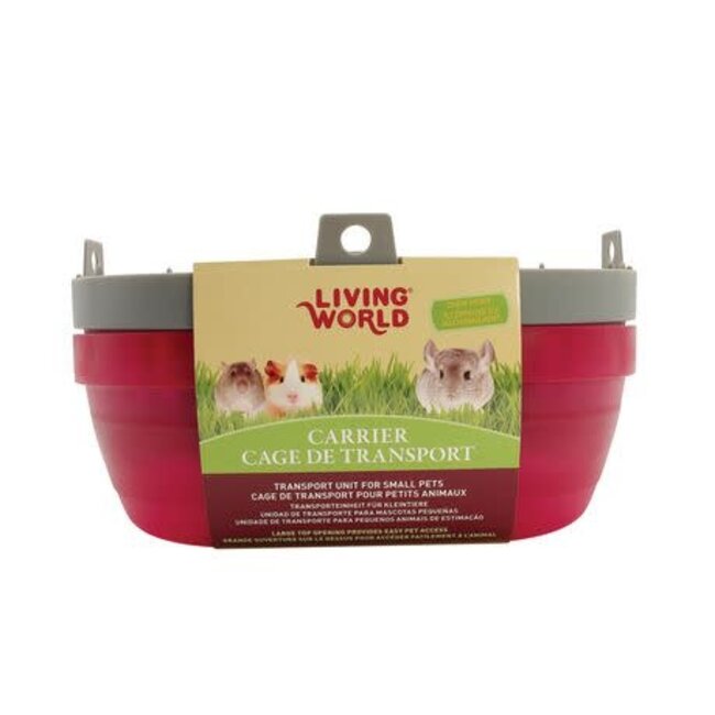 Carrier for Small Pets - Large 12" x 9" x 8"