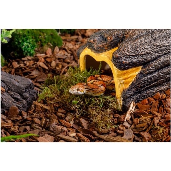 Exo Terra Wet Log, Small