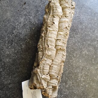 Cork Bark Tube - Jumbo 16" - 20" Cork Bark Tube - Jumbo 16" - 20"