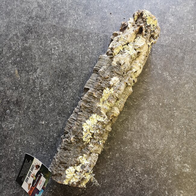 Cork Bark Tube - Jumbo 16" - 20"