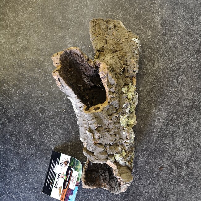 Cork Bark Tube - Jumbo 16" - 20"