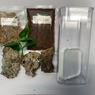 Mini Beasts Arboreal Sling Enclosure Starter Kit 2x2x4"