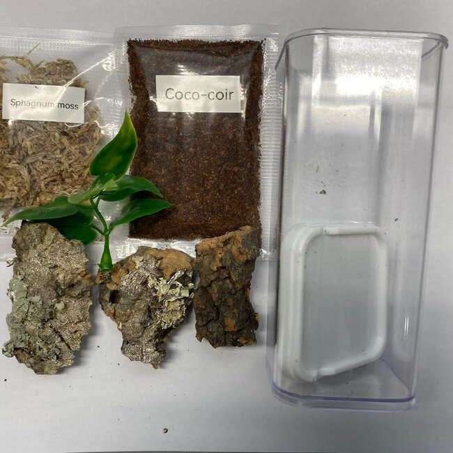 Mini Beasts Arboreal Sling Enclosure Starter Kit 2x2x4"