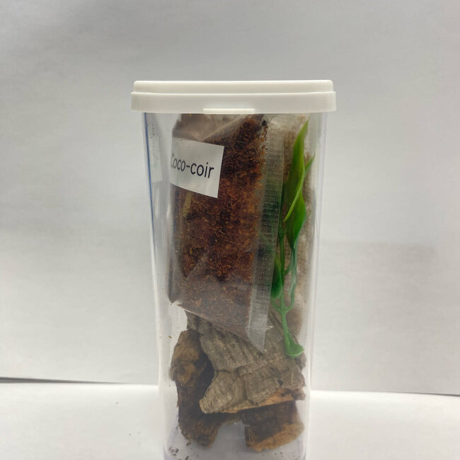 Mini Beasts Arboreal Sling Enclosure Starter Kit 2x2x4"