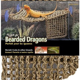 Penn-Plax Lizard Lounger Large