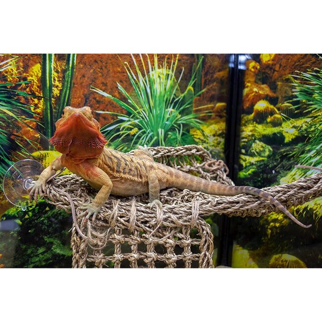 Penn-Plax Lizard Lounger Large