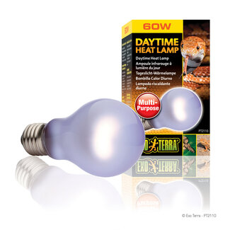 Exo Terra Exo Terra Daytime Heat Lamp - A19/60 W
