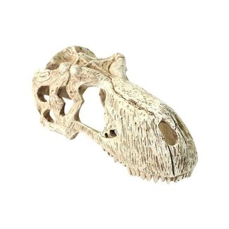 Komodo Trex Skull X-Large 26cm 11xm x 13cm