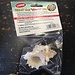 Zoo Med Zoo Med Hermit Crab Shells (1 per Pkg)