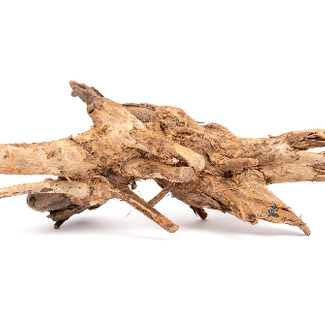 Congo Wood Congo Wood
