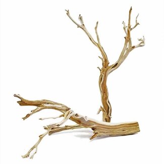 Ghostwood Ghostwood