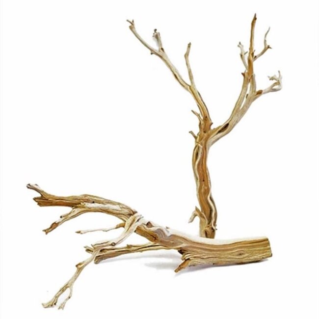 Aquaglobe Ghostwood