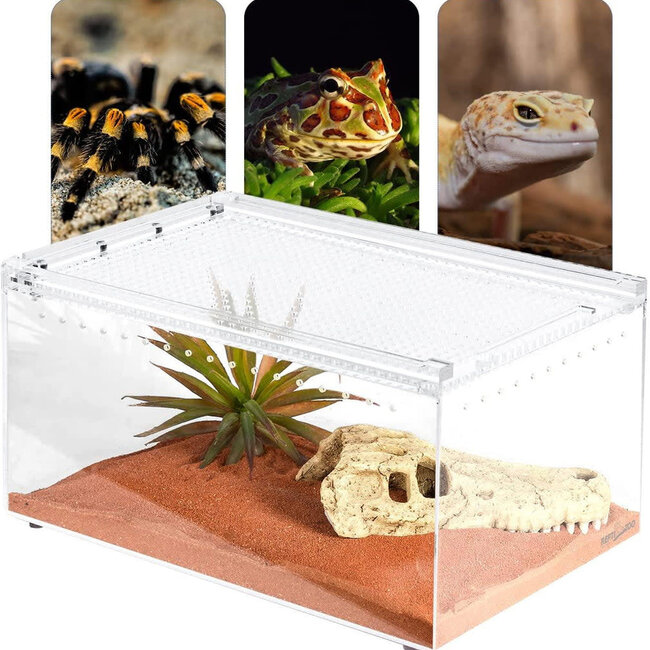 Repti Zoo Repti Zoo Magnetic Acrylic Enclosure 12''x8''x6''