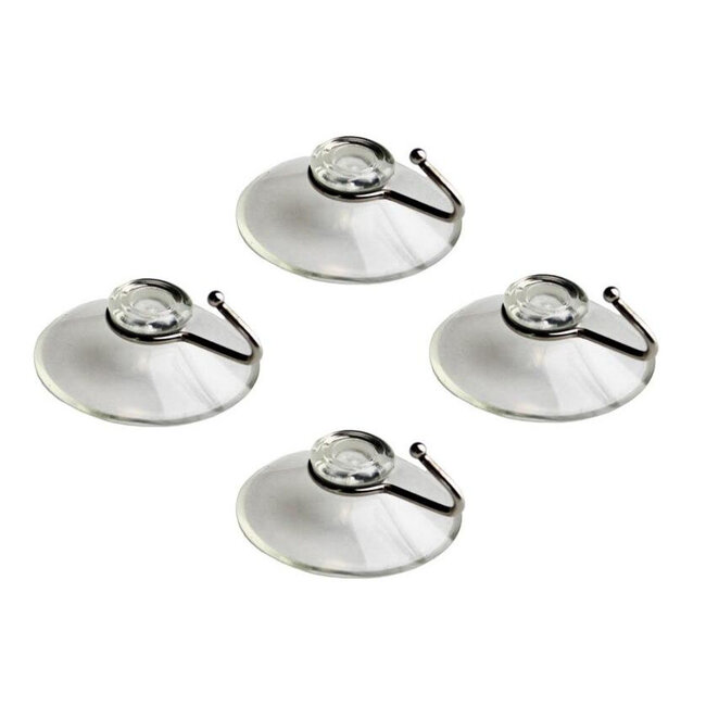 Pangea Leafy Vine Caladium