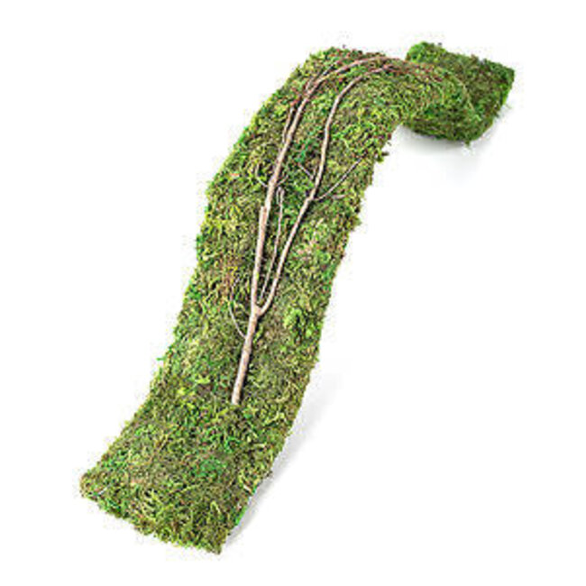 Galapagos Mossy Flex Bridge 2ft