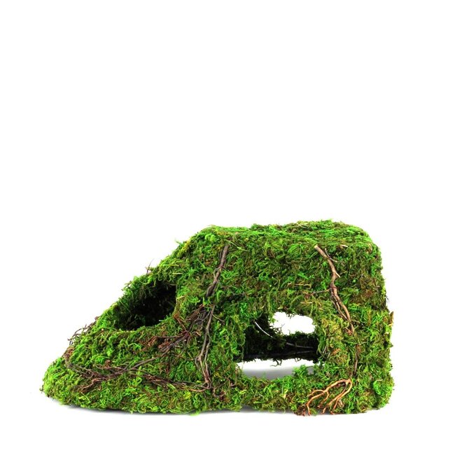 Galapagos Mossy Corner Hide 10x5.5"