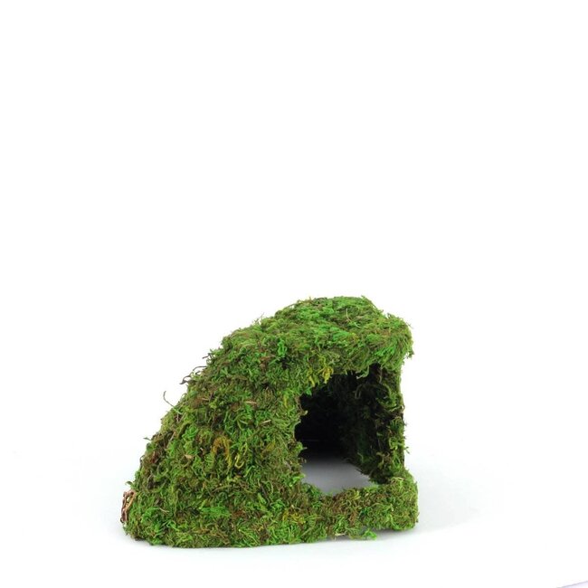 Galapagos Mossy Corner Hide 10x5.5"
