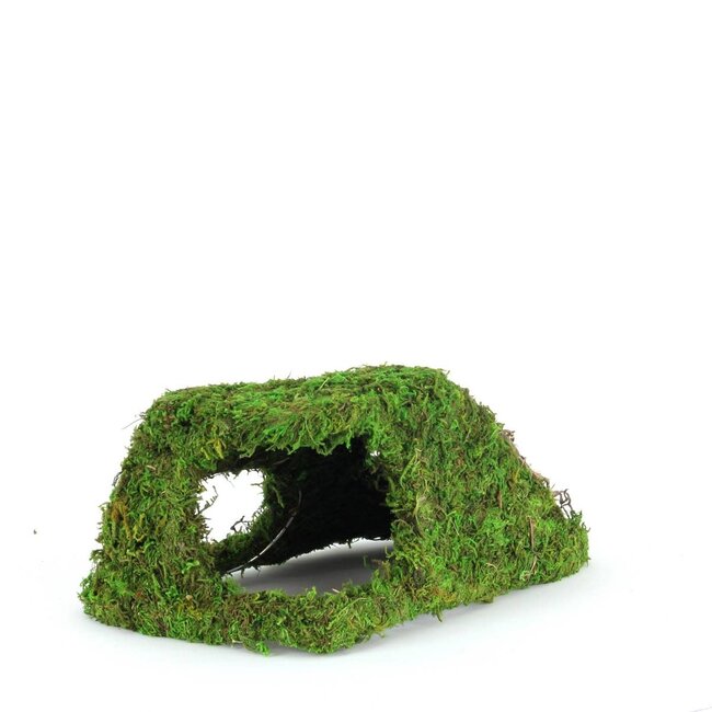 Galapagos Mossy Corner Hide 10x5.5"