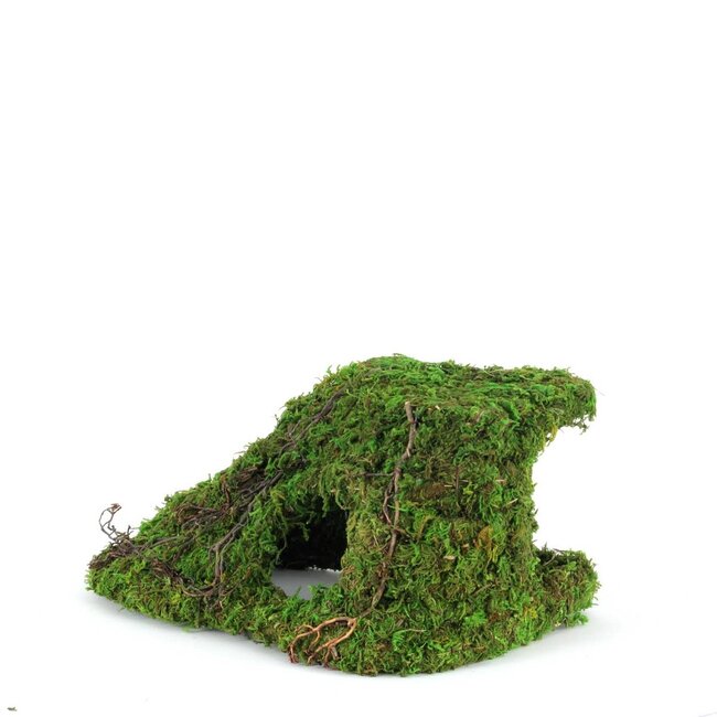 Galapagos Mossy Corner Hide 10x5.5"