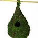 Galapagos Raindrop Moss Hide - Birdhouse 6x10"