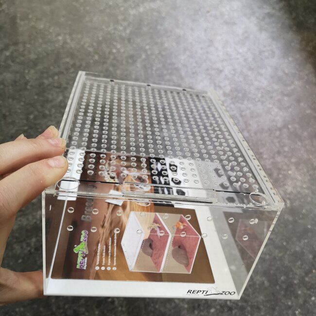 ReptiZoo Repti Zoo Acrylic Enclosure 8"x6"x4"