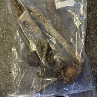 Jurassic Tank Decor Pack Cork Bark, Tannin Pod, Wood 9L Bag