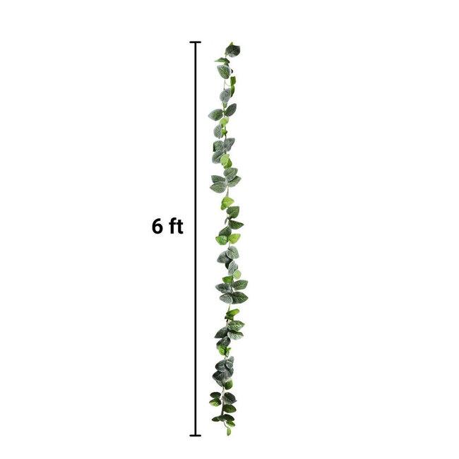 Pangea Leafy Vine Fittonia 6'
