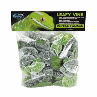 Pangea Leafy Vine Fittonia 6'