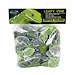 Pangea Leafy Vine Fittonia 6'