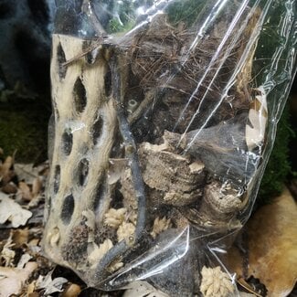 Tropical Botanical Pack Medium Tropical Botanical Pack Medium
