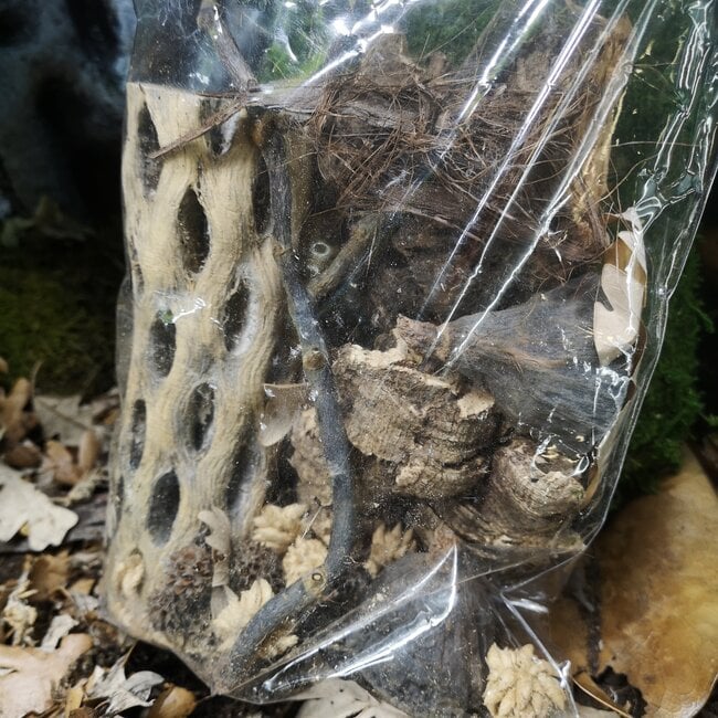 Tropical Botanical Pack Medium