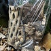 Tropical Botanical Pack Medium