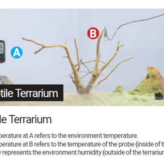 ReptiZoo ReptiZoo Digital Alarm Thermo-Hygrometer w/Probe