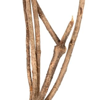 NewCal Vine Branches 24" 5pk