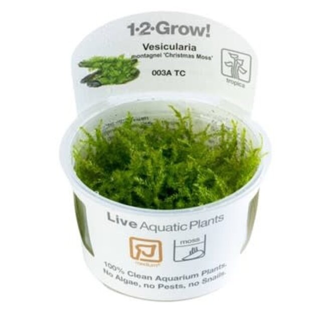 Tropica Christmas Moss 1-2-Grow!