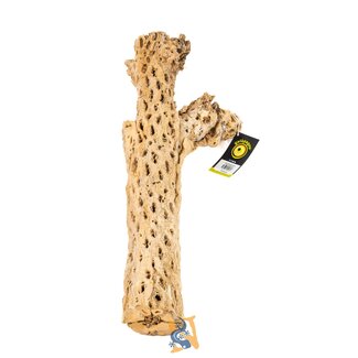 Cholla Wood Branches, Natural, Branched 24" Cholla Wood Branches, Natural, Branched 24"