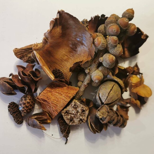 Premium Deluxe Forest Floor Cover (sizes)