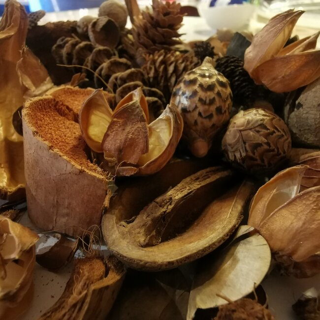 Stargazer Exotics Premium Deluxe Forest Floor Cover (sizes)