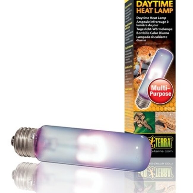 Exo Terra Daytime Heat Lamp T10/25w