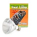 Pangea Pangea Halogen Heat Lamp 100w