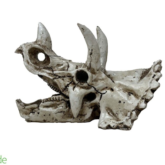 The BioDude The Bio Dude - Dino Decor - Triceratops