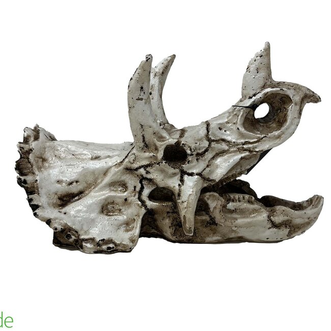 The BioDude The Bio Dude - Dino Decor - Triceratops