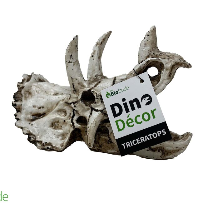 The BioDude The Bio Dude - Dino Decor - Triceratops