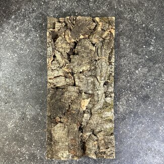 Cork Panel Tile 6" x 9"